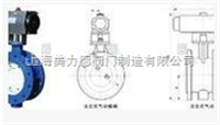 D343/D373蝶阀产品電(diàn)子样本